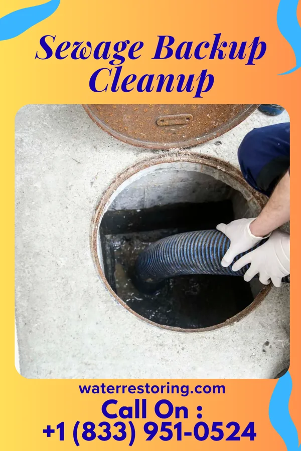 Sewage Backup Cleanup in Ten Broeck, KY